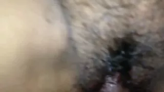 Рак на три мацки, пр ...