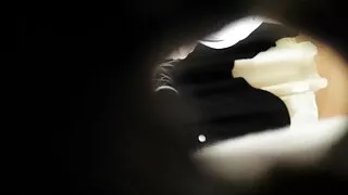 Очарователен звяр се ...