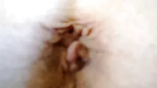 Млад мъж чука еротич ...