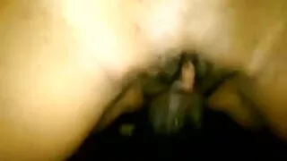 Независимо доведе це ...