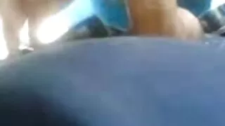 Сладострастни прияте ...