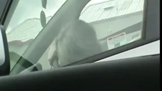 Елегантни момичета с ...