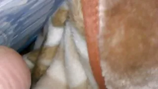 Ефектното момиче раз ...